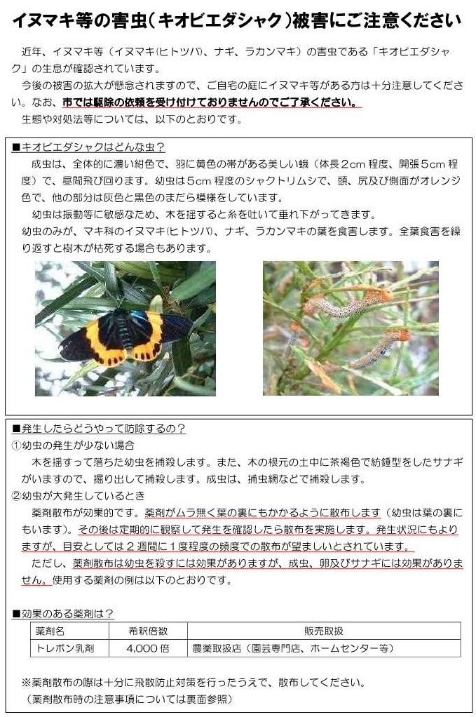 キオビエダシャク注意喚起１