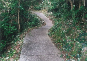 平岩遊歩道１