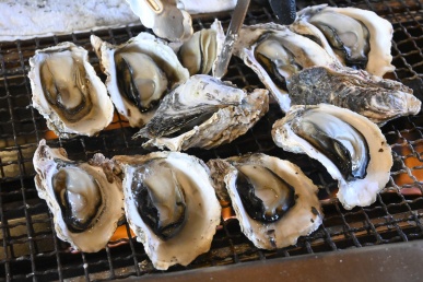 岩ガキまつり②