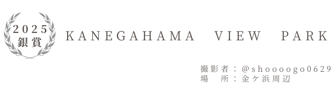 動画部門_銀賞_題名