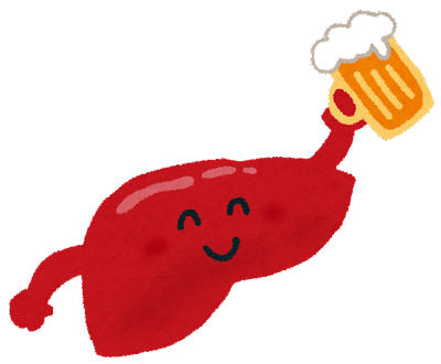 ビールを飲む肝臓