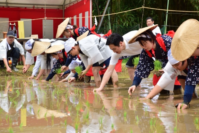 御田植祭写真
