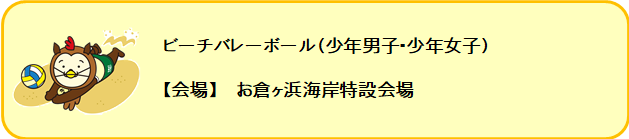 ビーチバレーボール