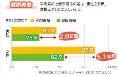 健康寿命グラフ
