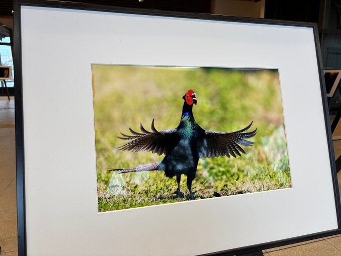 日向市写真協会