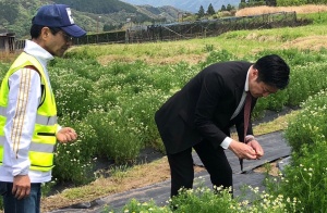 つつじ祭り２