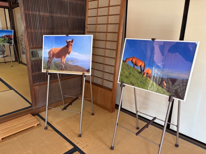 展示状況2
